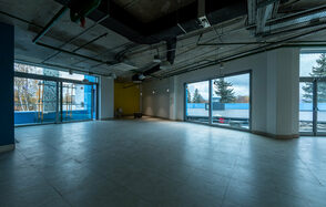 Техноград Просторное помещение с летней террасой и балконами