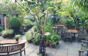 Garden at Museum of Brands