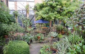 Garden at Museum of Brands