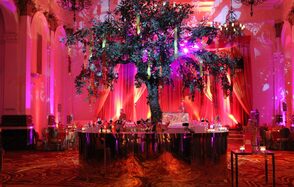 The Ballroom
