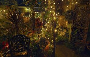 Garden at Le QuecumBar & Brasserie