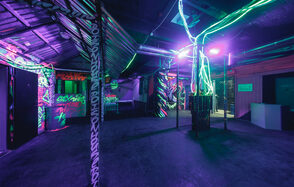 Poison House Зонированный лофт с террасой