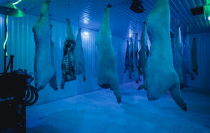 Poison House Зонированный лофт с террасой