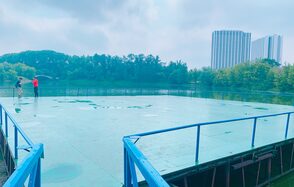 Vernissage Сцена на воде