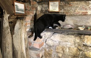 Творческий мини-лофт