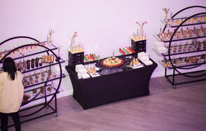 Сегмент Холл