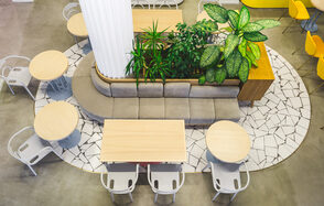 Двухуровневый лофт с живыми растениями