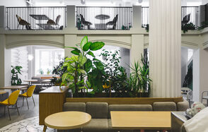 Двухуровневый лофт с живыми растениями