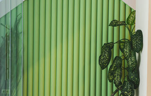 Двухуровневый лофт с живыми растениями