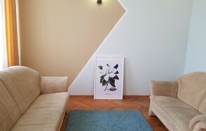 Домашняя фотостудия