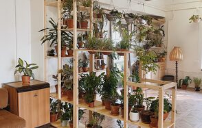 Светлый лофт в кантри стиле