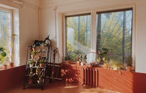 Светлый лофт с растениями