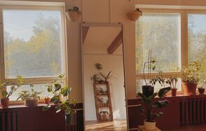 Светлый лофт с растениями