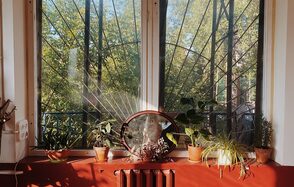 Светлый лофт с растениями