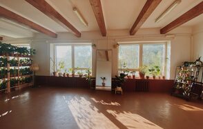 Светлый лофт с растениями