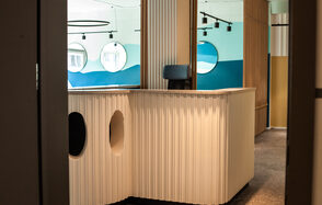 Проект «Океаника» Пространство для детского праздника