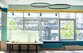 Проект «Океаника» Пространство для детского праздника