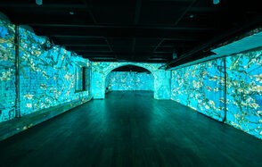  Мультимедийный лофт