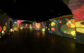  Мультимедийный лофт