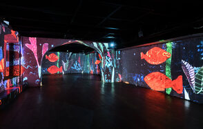  Мультимедийный лофт