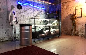 Камерный лофт с манекенами