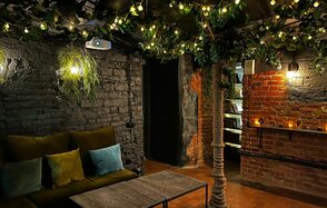 Небольшая лофт-комната с растением 