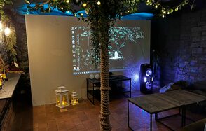 Небольшая лофт-комната с растением 