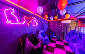 Лофт в стиле диско с двумя этажами 