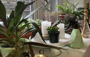 Уютная студия для творческих встреч 