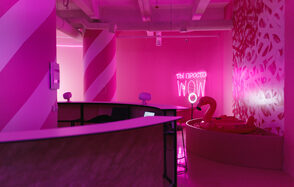 Wow Place Loft. Mr. Pink. Розовый лофт для вечеринок