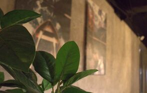 Уютная кальянная