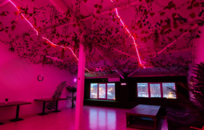 ATMOSFERA. ECO  Белый лофт с неоновой подсветкой