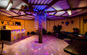 EmpireLoft Светлый лофт с деревом на Партизанской