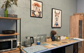 Art loft Зонированное яркое пространство