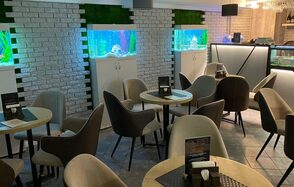 ДеловРаке Светлый бар под закрытие