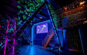 Тематический лофт лагуна