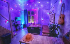 Двухуровневый лофт с растениями