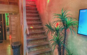 Двухуровневый лофт с растениями