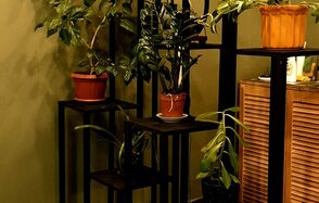 Зеленая комната 20 кв. м с камином и фонтаном