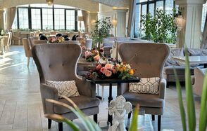 Верба Уютное светлое пространство