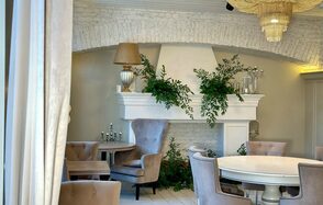 Верба Уютное светлое пространство