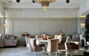 Верба Уютное светлое пространство