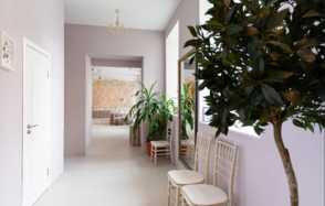 Прованс. Просторный банкетный зал в центре