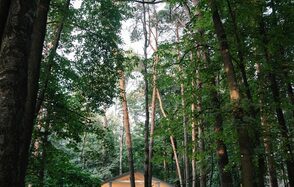 Белоснежный банкетный зал в Усадьбе Лесной Берег