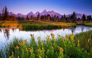 Тестовый зал мск. На изображении живописный пейзаж: горы на горизонте, лес и кустарники на переднем плане, отражение в спокойной речной воде. На переднем плане жёлтые цветы, создающие яркий акцент. Небо ясное с легким розовым оттенком.