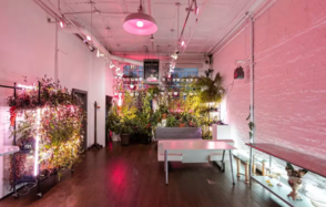 Loft393