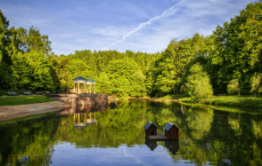 Беседка с мангалом для шашлыка