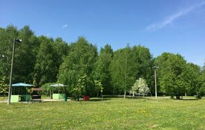 Мангальные беседки на территории Парк Отель Куркино