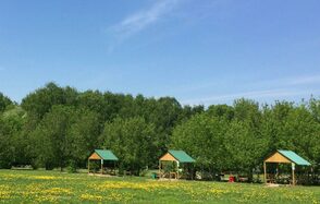 Мангальные беседки на территории Парк Отель Куркино