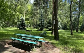 Мангальная зона / барбекю на территории лечебно-оздоровитель